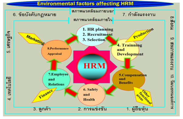 hr-%e0%b9%81%e0%b8%9a%e0%b8%9a%e0%b9%84%e0%b8%ab%e0%b8%99%e0%b8%97%e0%b8%b5%e0%b9%88-ceo-%e0%b8%ad%e0%b8%a2%e0%b8%b2%e0%b8%81%e0%b9%80%e0%b8%ab%e0%b9%87%e0%b8%99-png